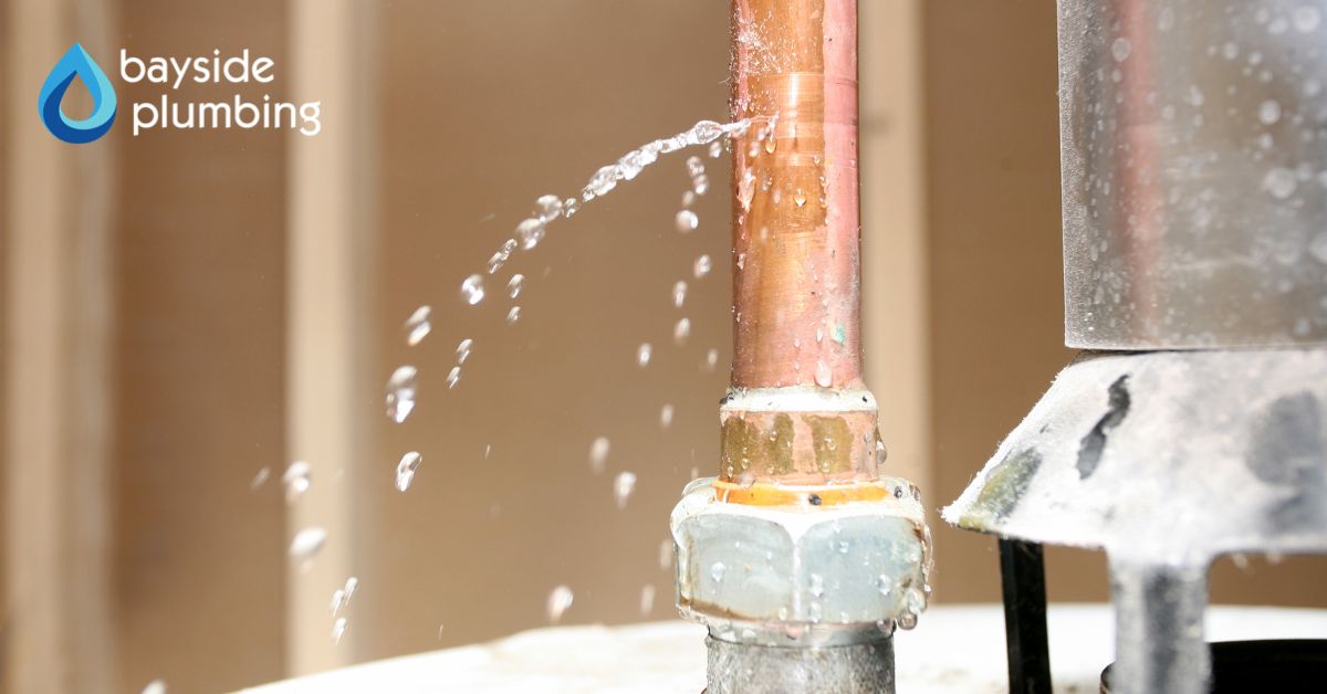 The Importance of Professional Leak Detection and Repair